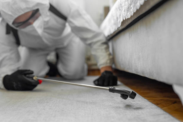 Professional Cockroach Control technician working in Junction City, CA