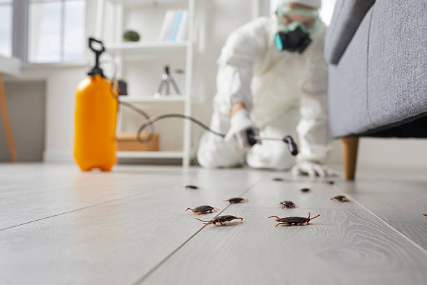 Affordable Cockroach Control solutions in Junction City, CA